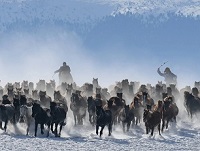 新疆乌鲁木齐字母圈吐鲁番喀什哈密和田绳艺KBSP爱好者社群
